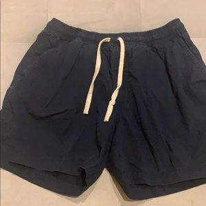 Chubbies Navy Short-L